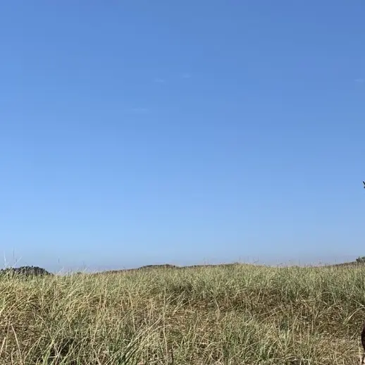 Nipping_Wind.의 절대자님