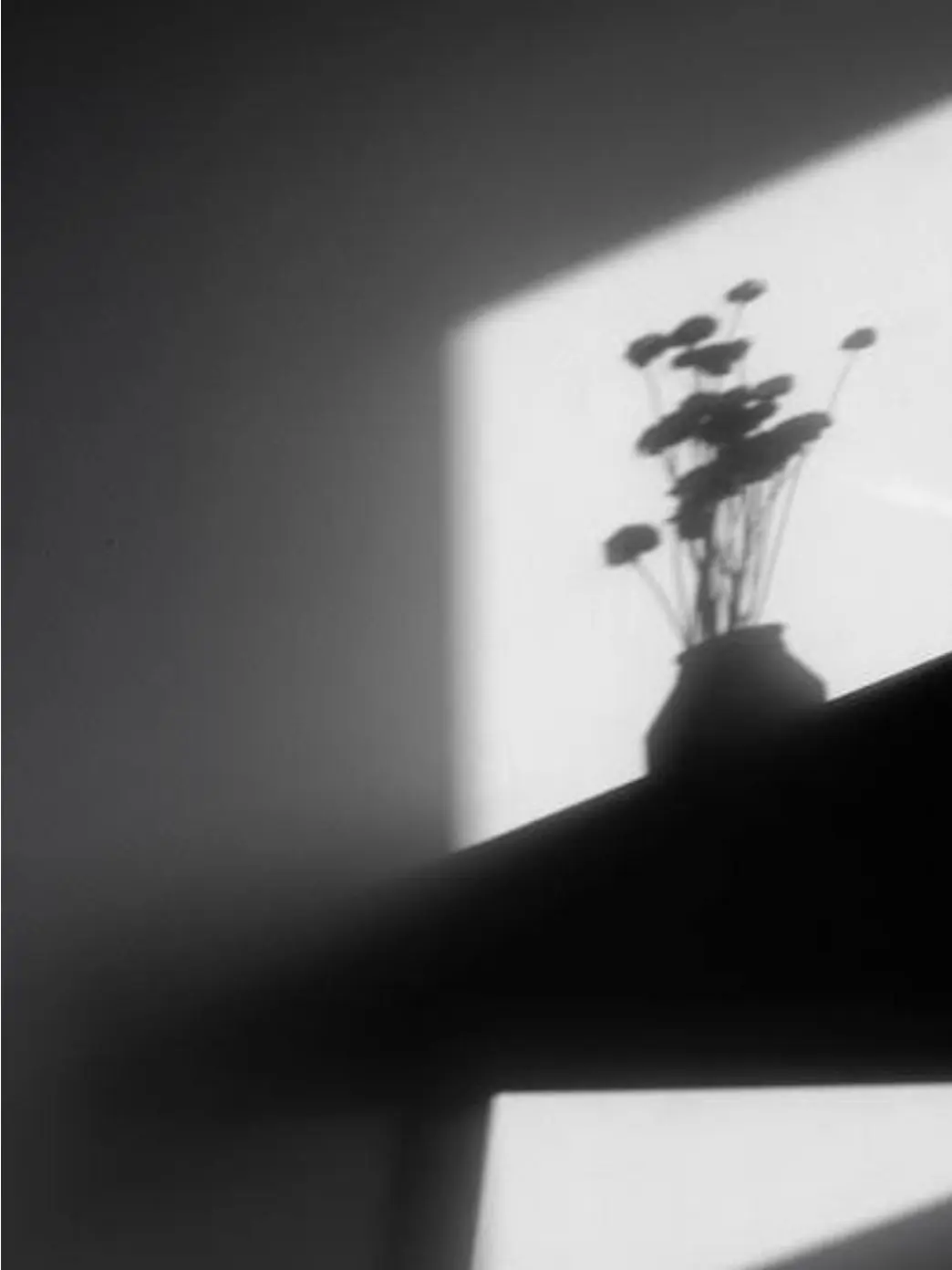 sleepground1228_의 당신은 주하은입니다