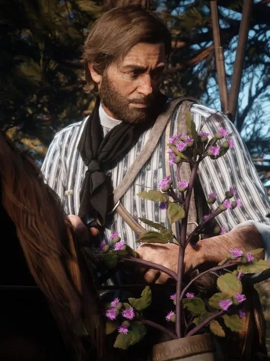 EvenDhole0826의 Arthur Morgan