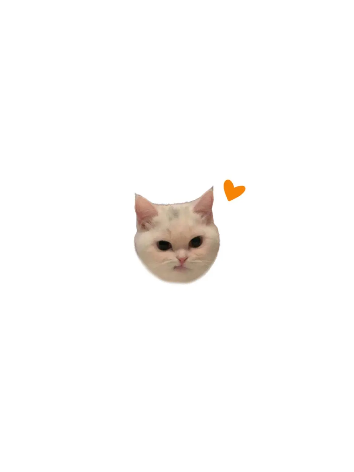 CrispyArrow3921의 初めて見た時から。