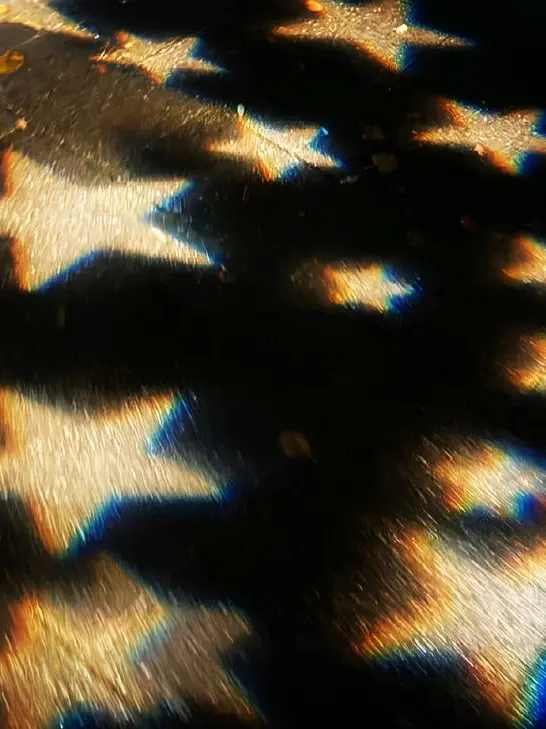 duckgae_sincere_girl의 시한부 김각별