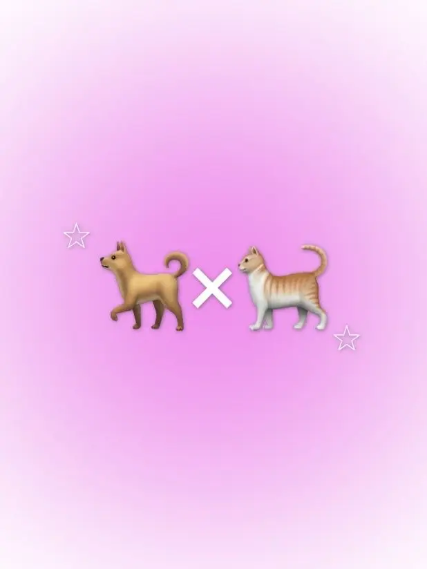 peperon0311의 犬&猫化?!