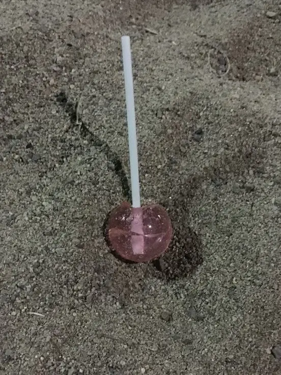 Enlighten의 권윤재