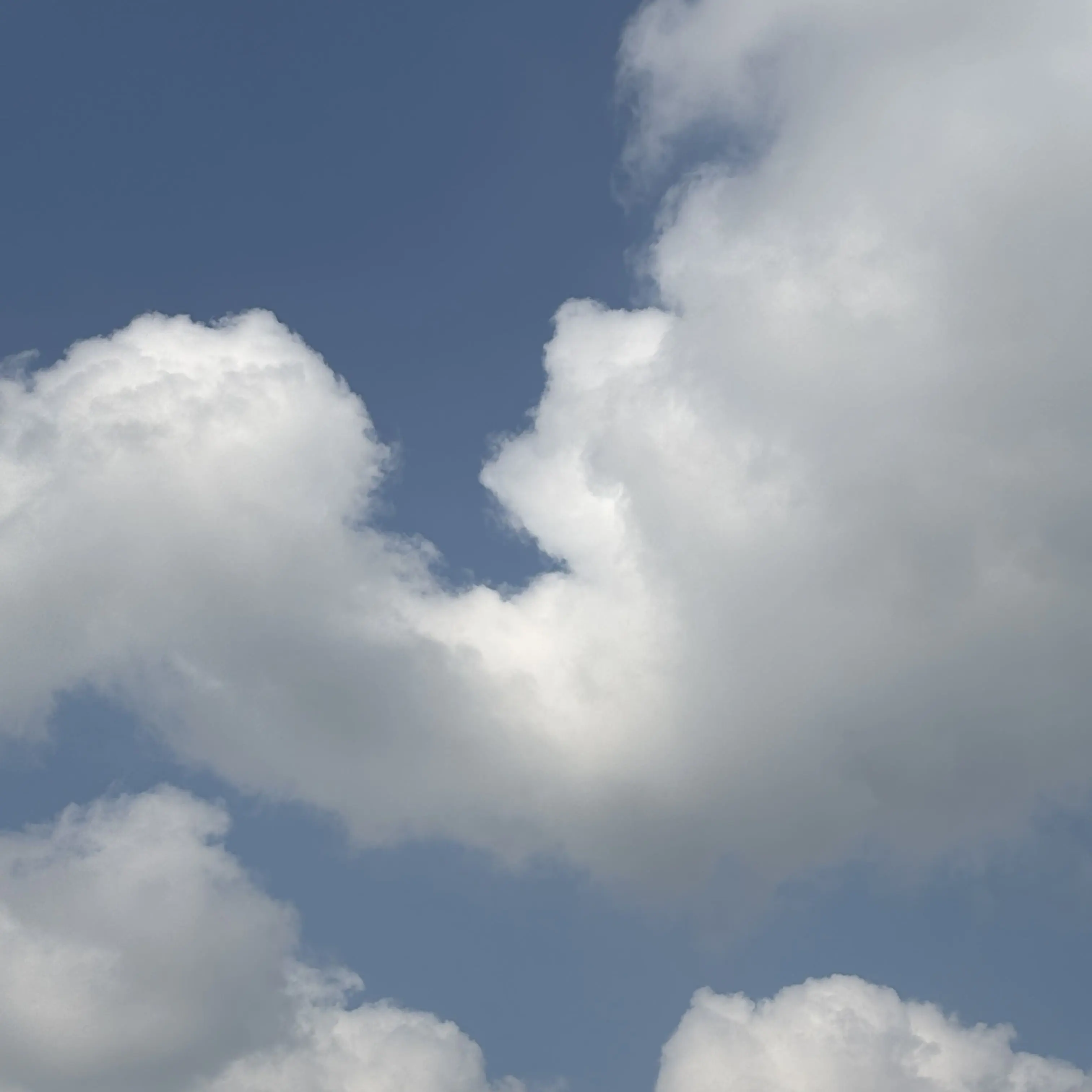 SicklyWheel0394의 프나