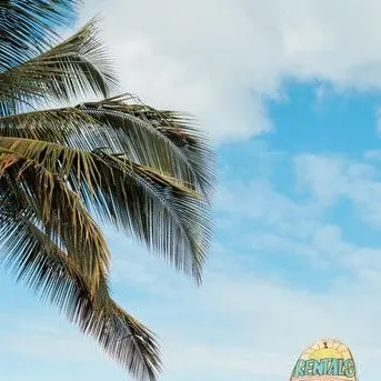 MaleDeli8739의 Scene