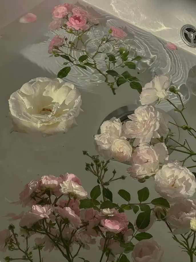 s2_rd.isfp의 本当はね