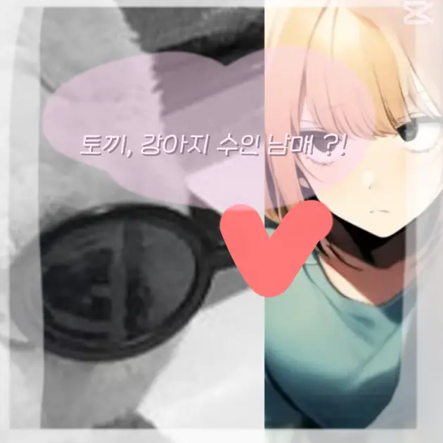 624624624624624의 뜨거울수도 있는 남매