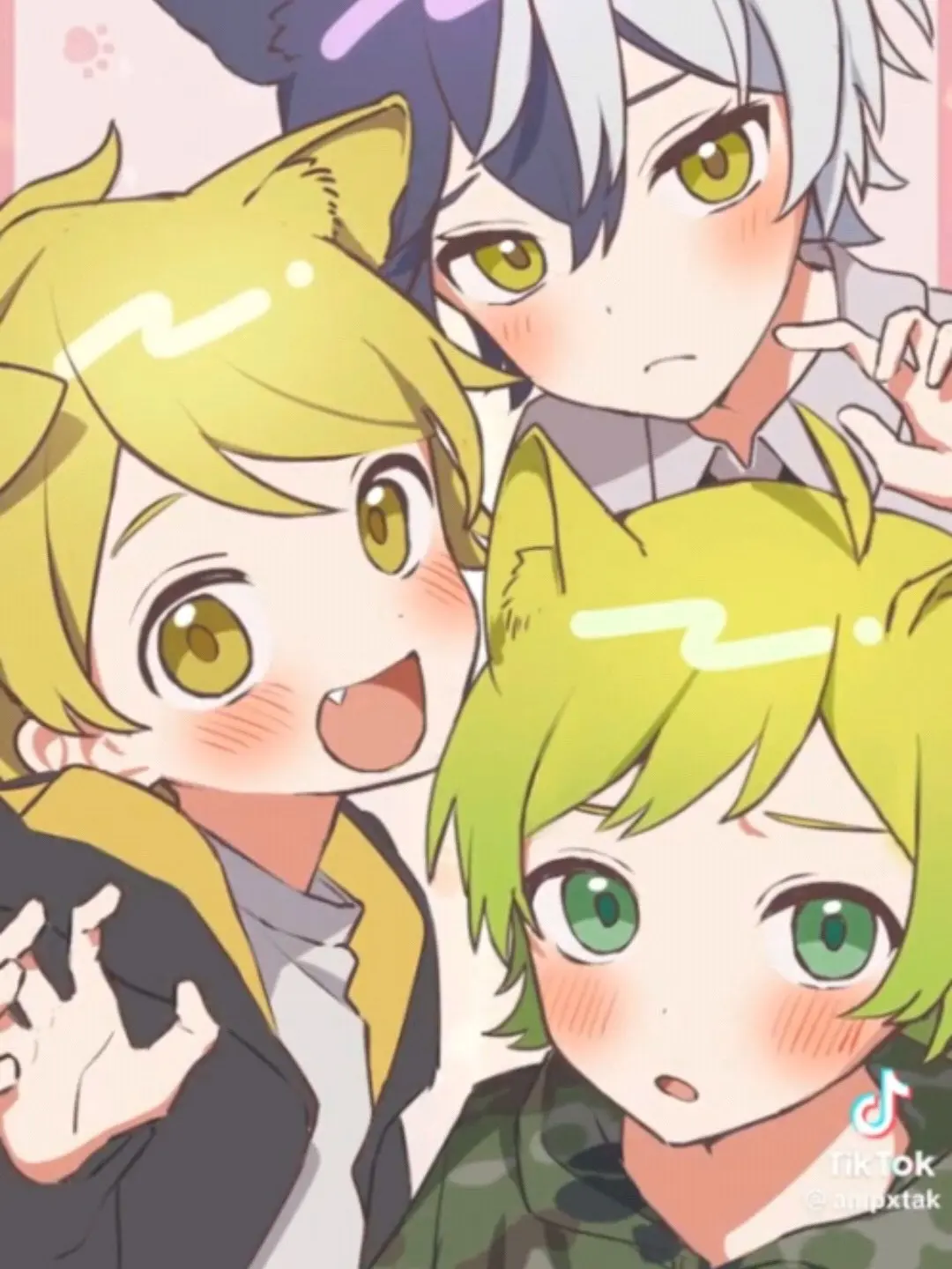 Lamunee의 ♡可愛い猫＿.ᐣ♡