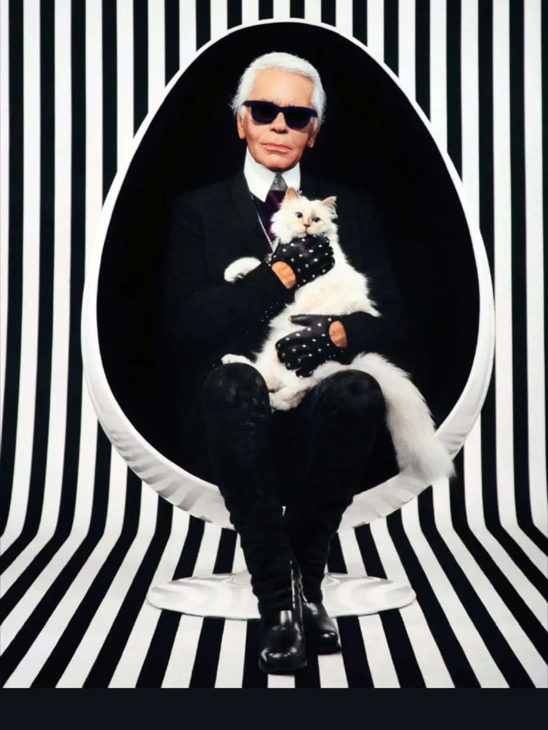 CurvyCell9136의 Lagerfeld family