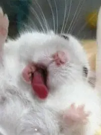 Uwu._1의 유니버스