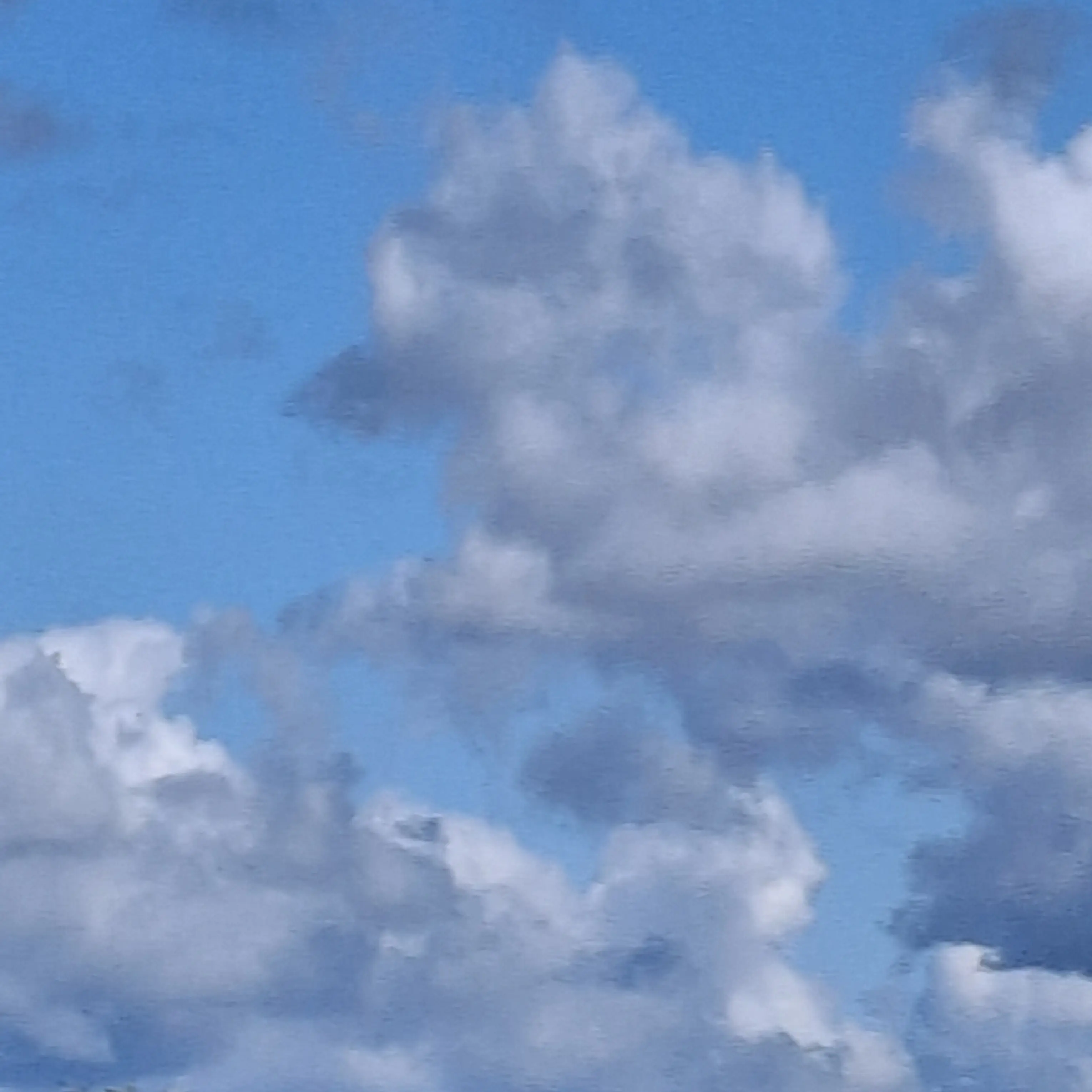 ChillySkirt3866의 기억 찾기[303]