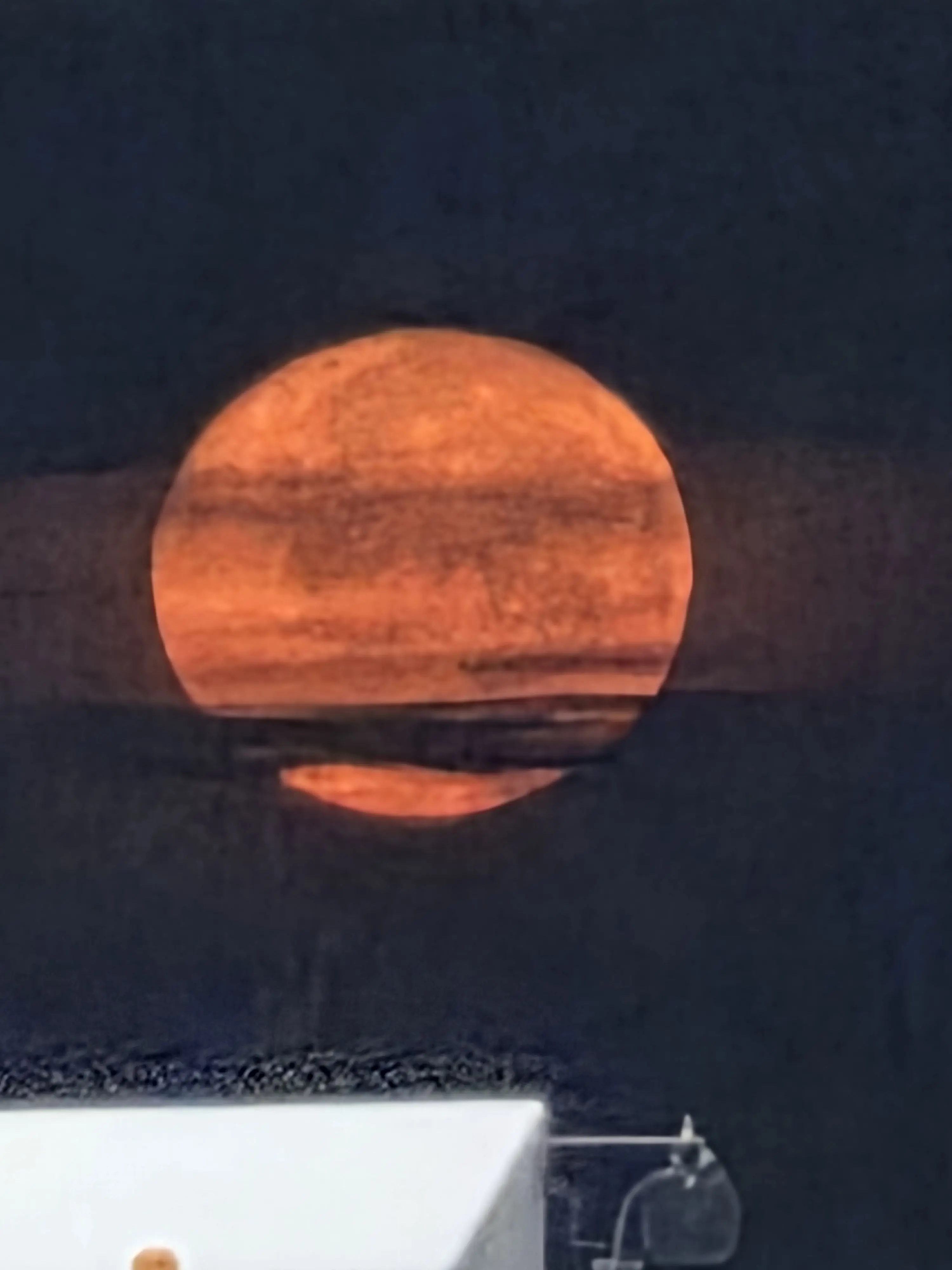 WearyJaw8927의 Hi Hollie