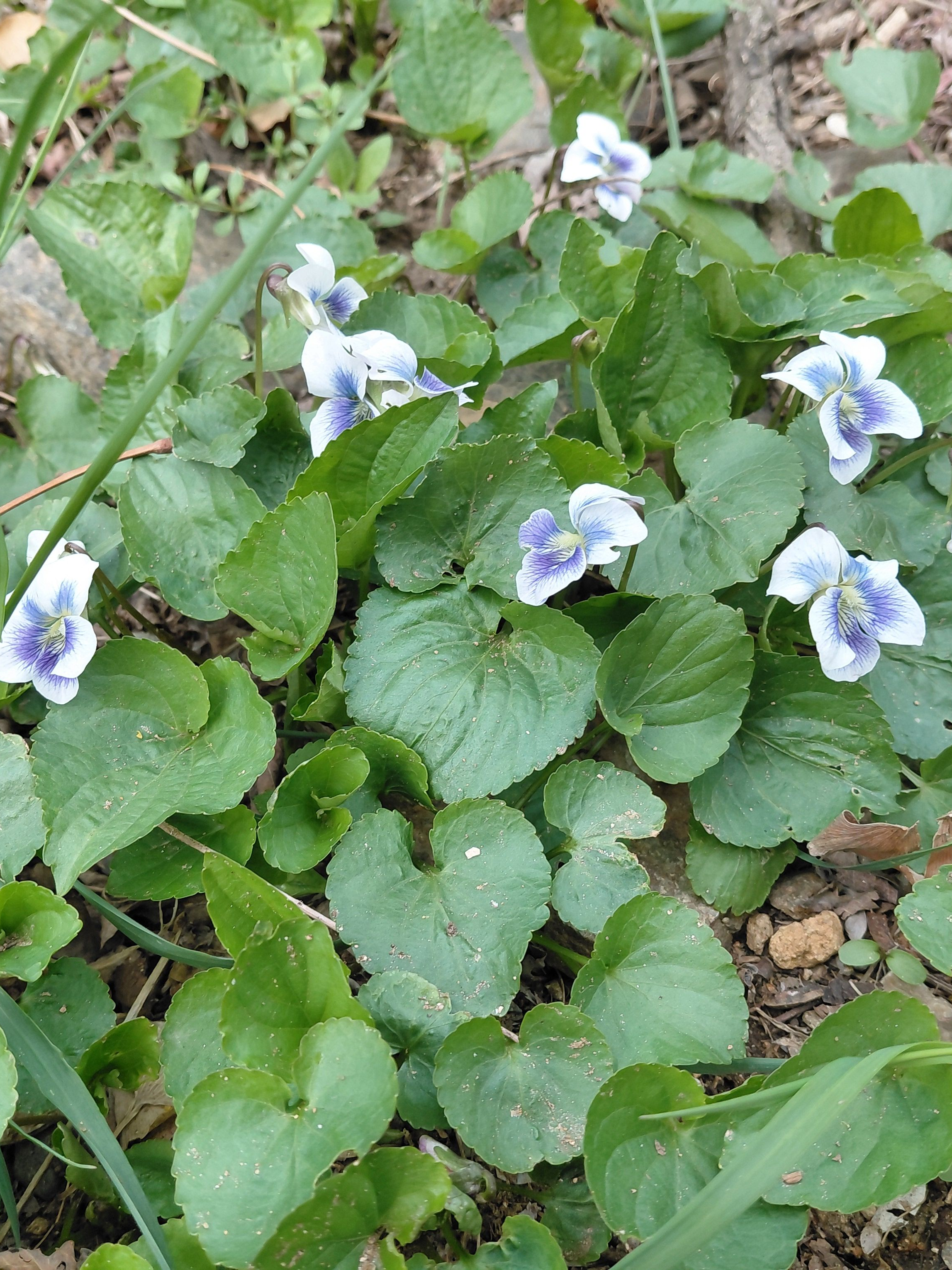 유튜버 초능력 학교 대표 이미지