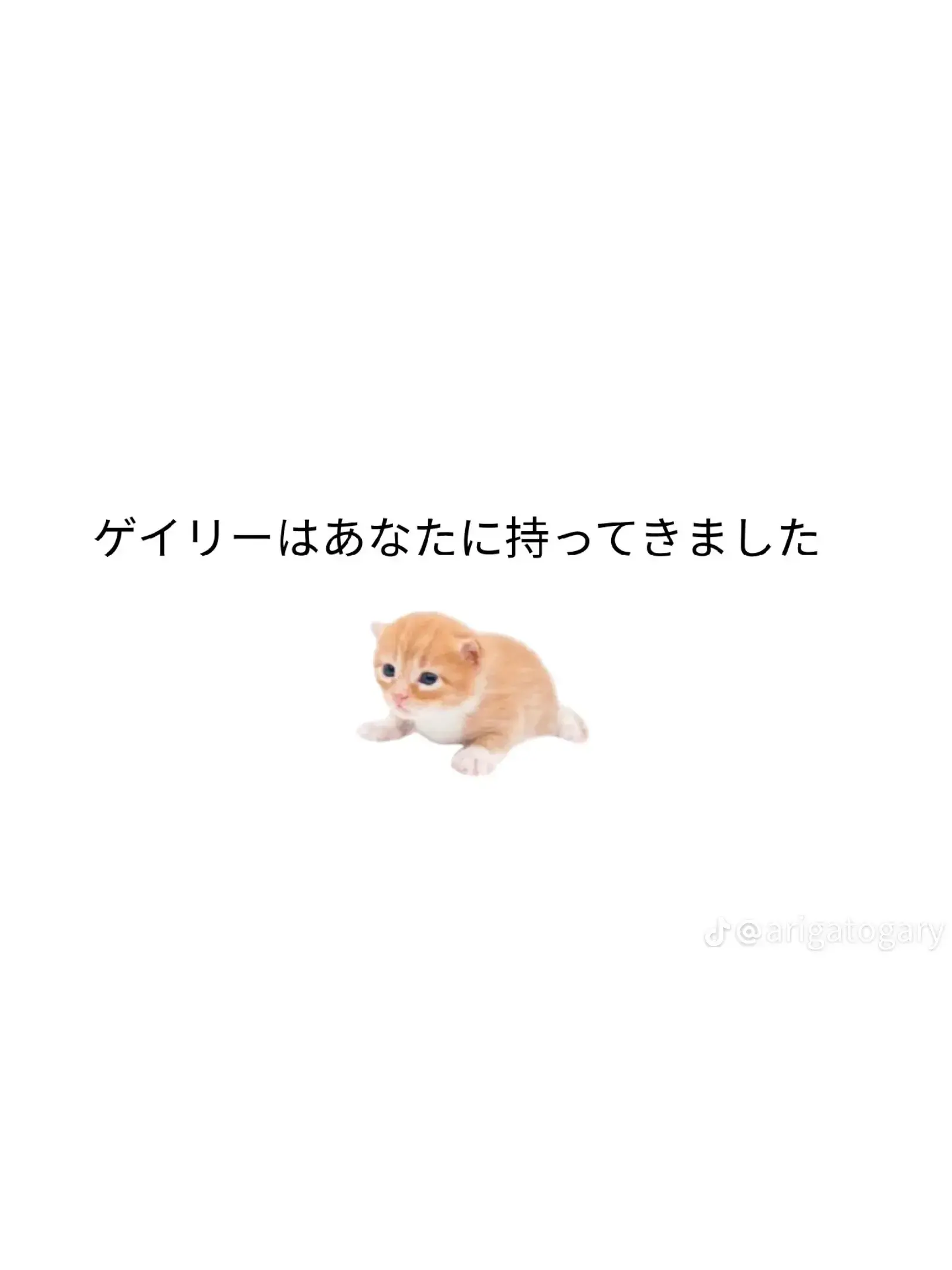 zetasaiko157의 adminvirusその2