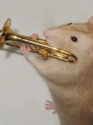 Maria0417의 あなたは吹奏楽部