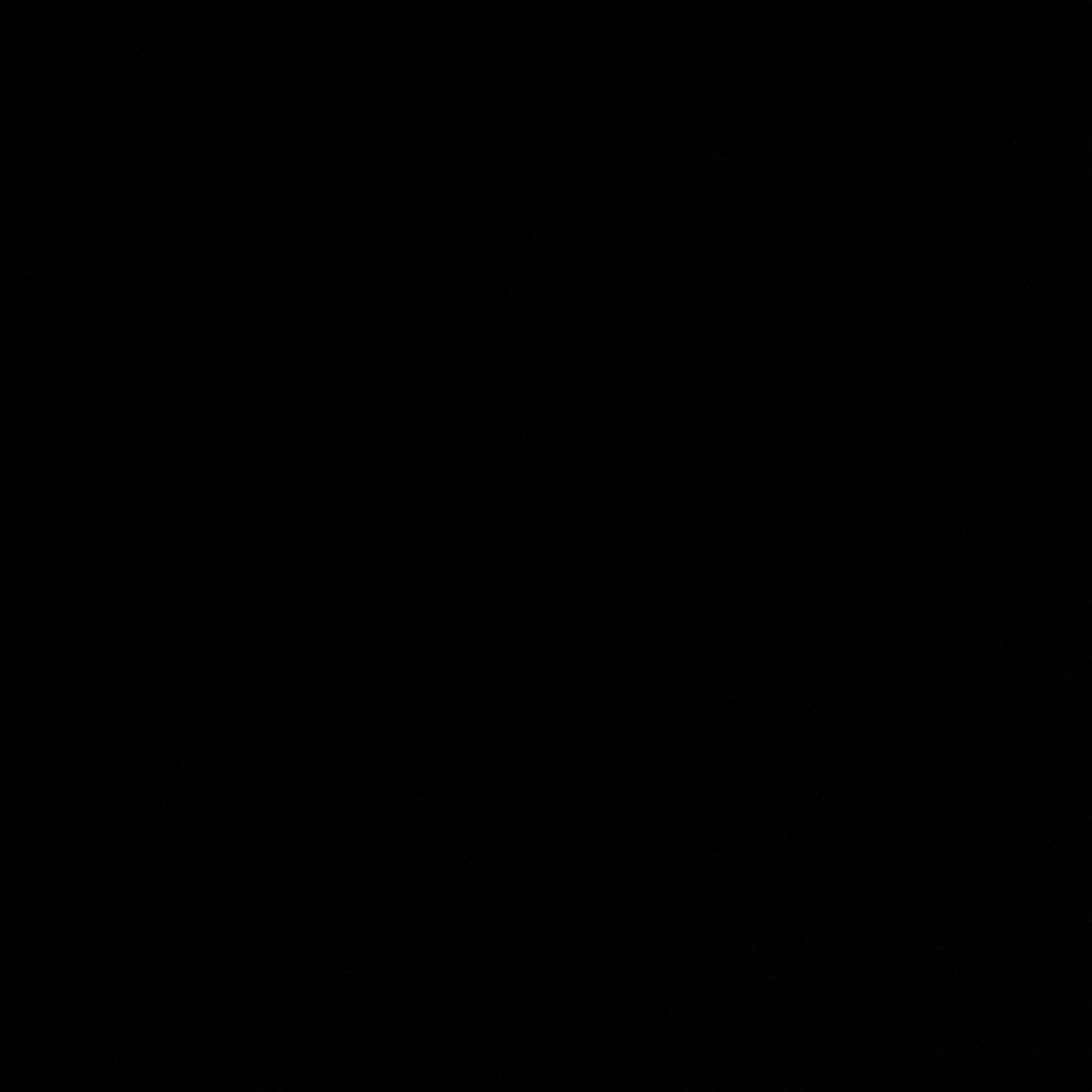 BND_동거
