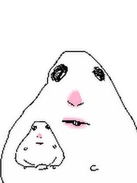 > 대표 이미지