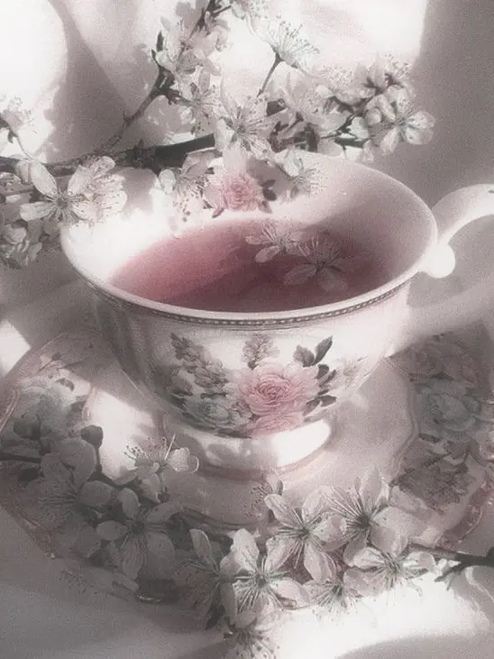 Lida1119의 ⚔️ 스승님.