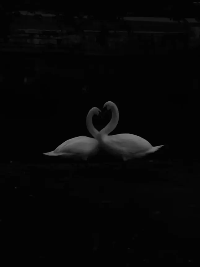 ha_yeop의 한강혁