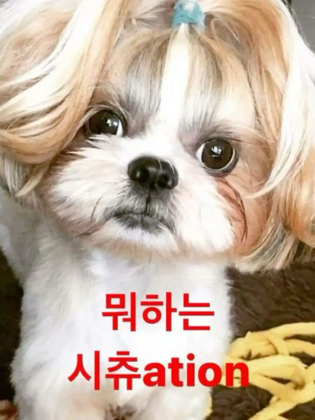 Moonbak의 개인용