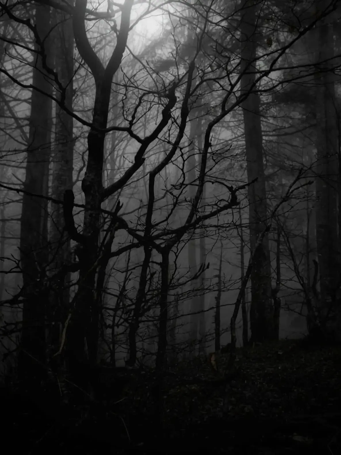 RoastKnife0316의 Dark and lovely.