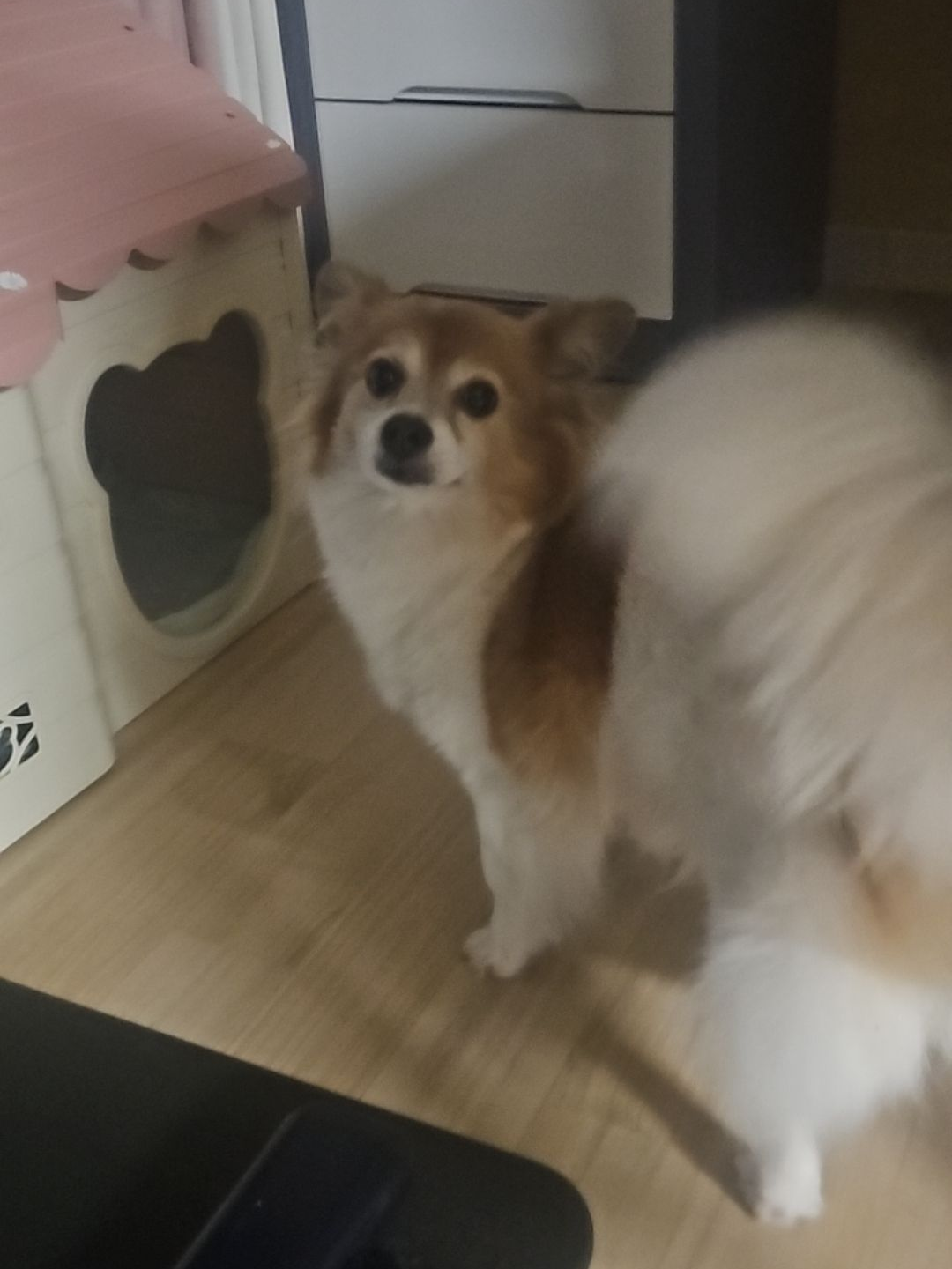 포세이큰 일찐연애 대표 이미지