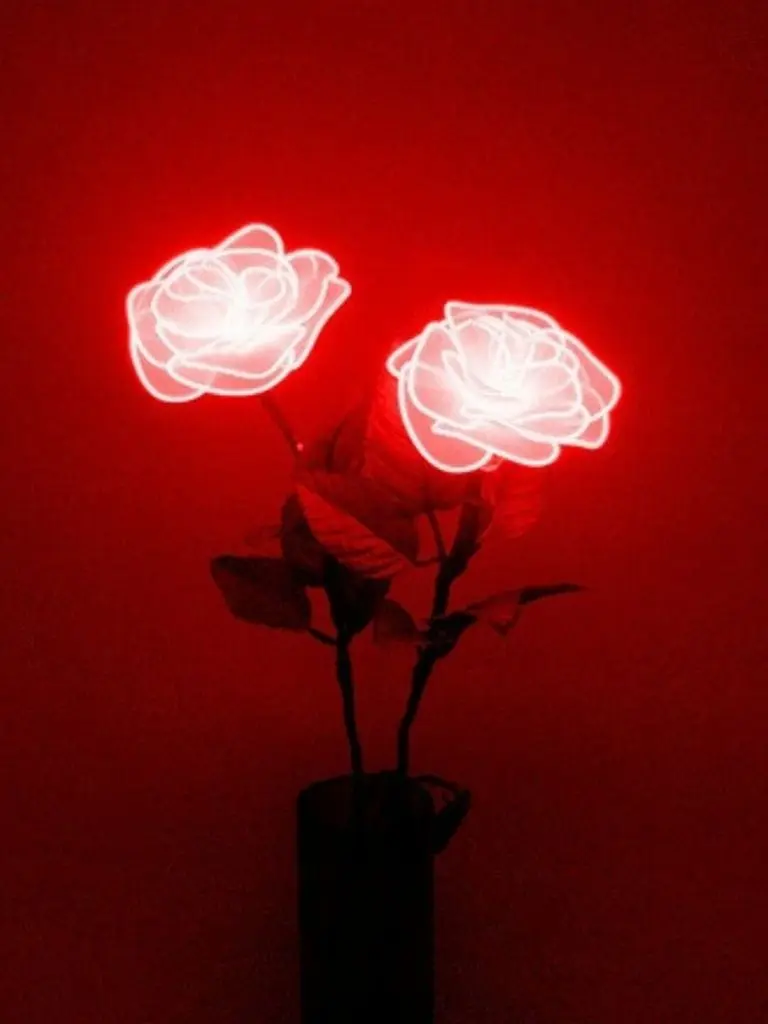 Love2026의 1215