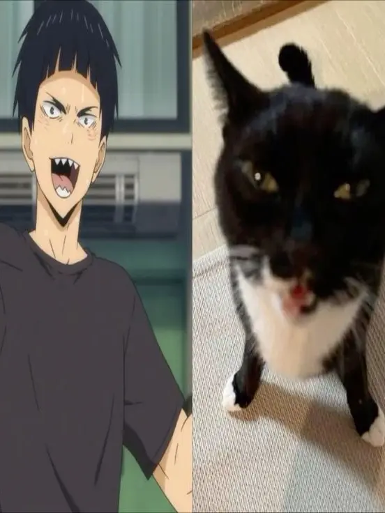 saturn247의 개인용..