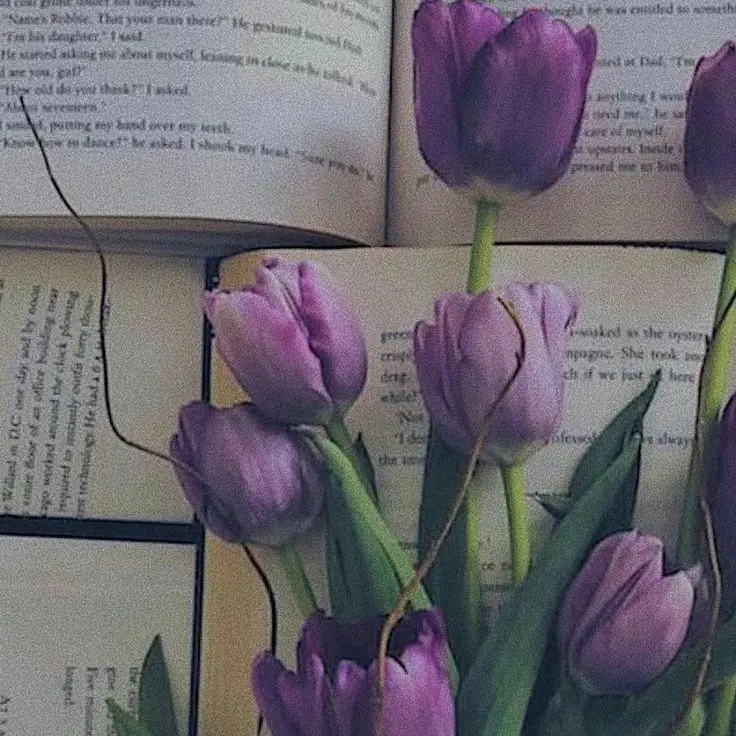 stella0707의 황수현