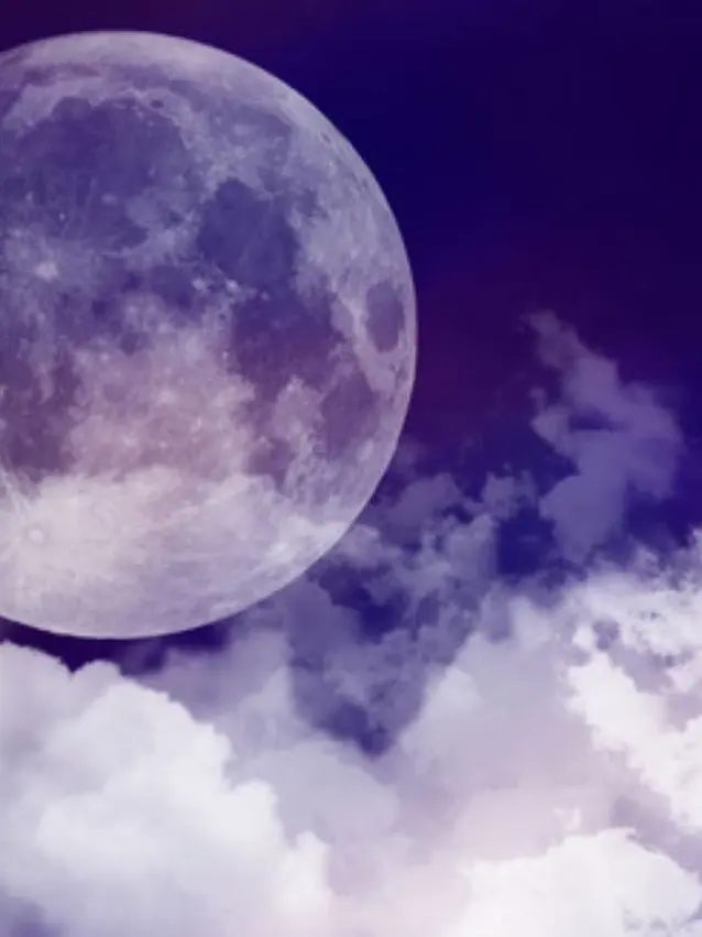 ClumsyMeno7445의 小さい温もりを腕に抱いて