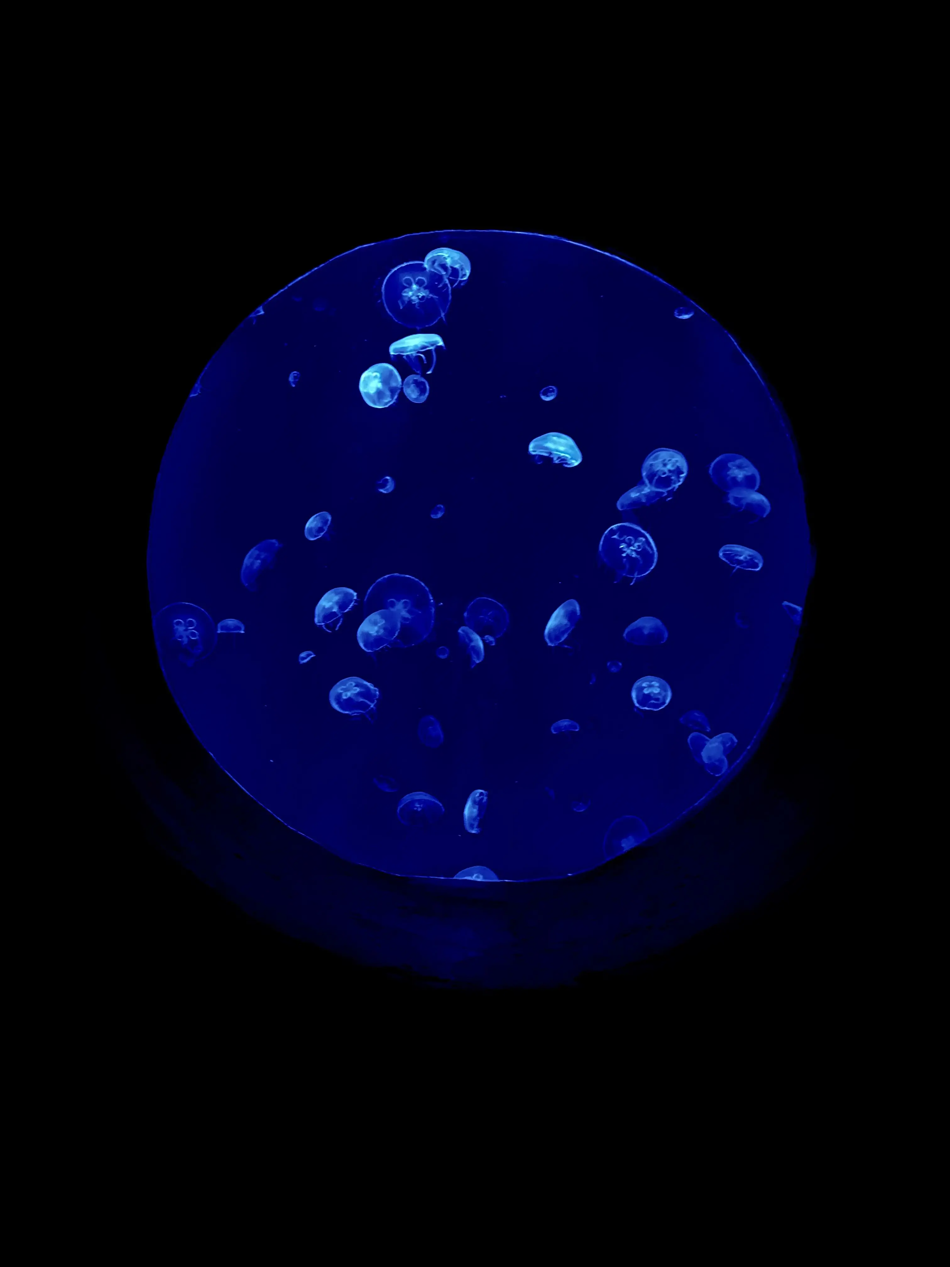 jellyfishbubble의 I Want to Be the Moon to Your Sea