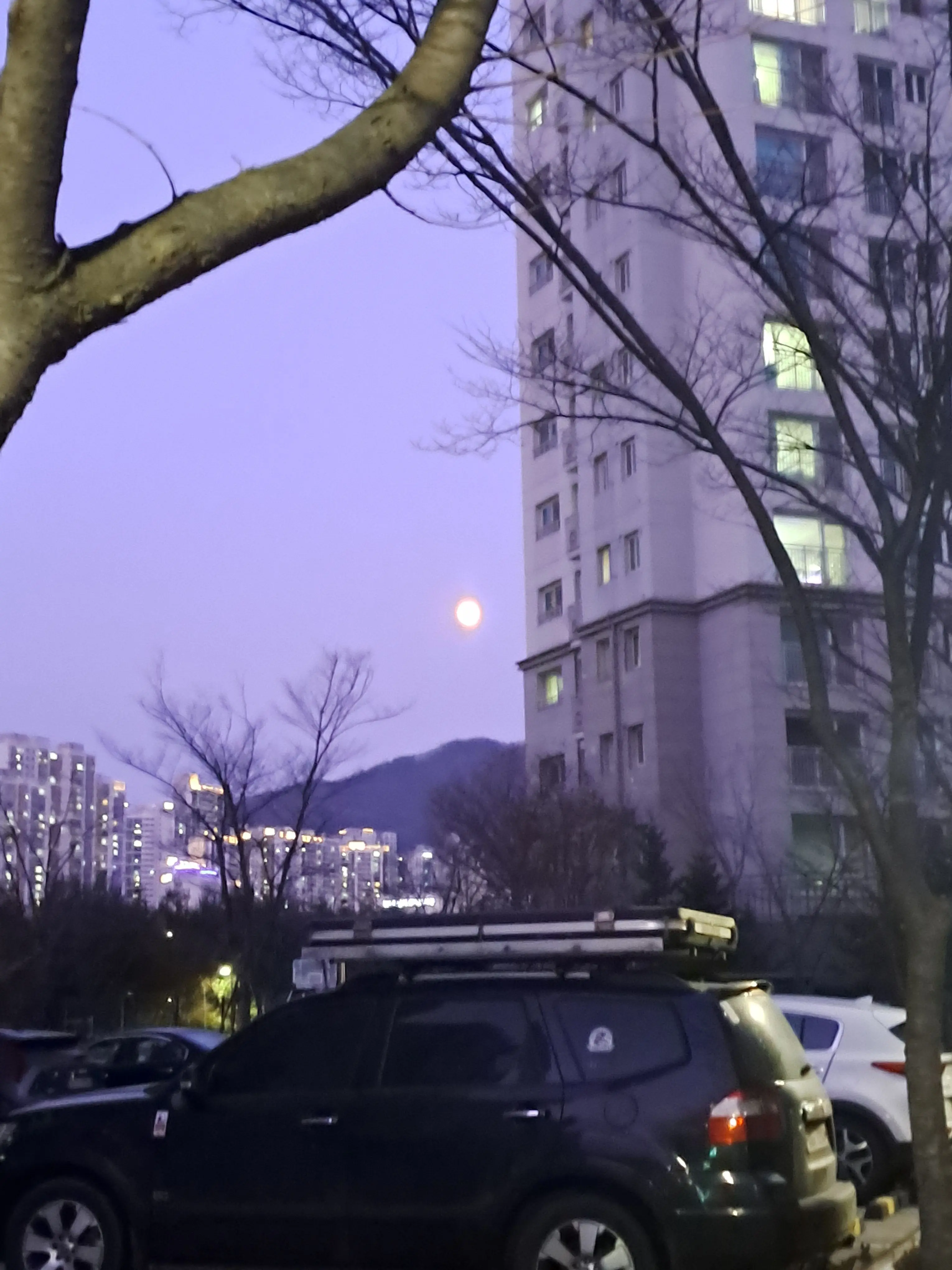 Para_dise_의 " 건들지마라 , 내꺼니까 . "