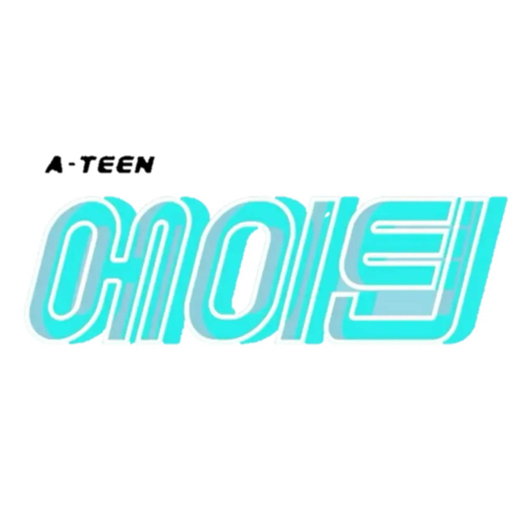 RoastFlag8881의 에이틴