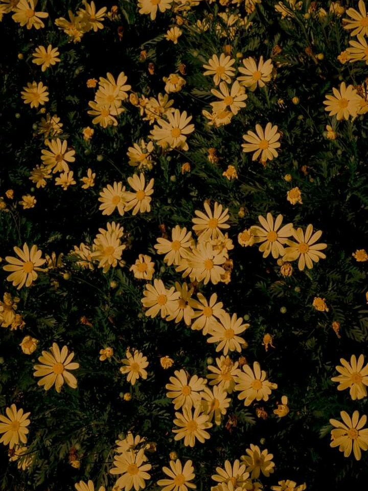 김각별 대표 이미지