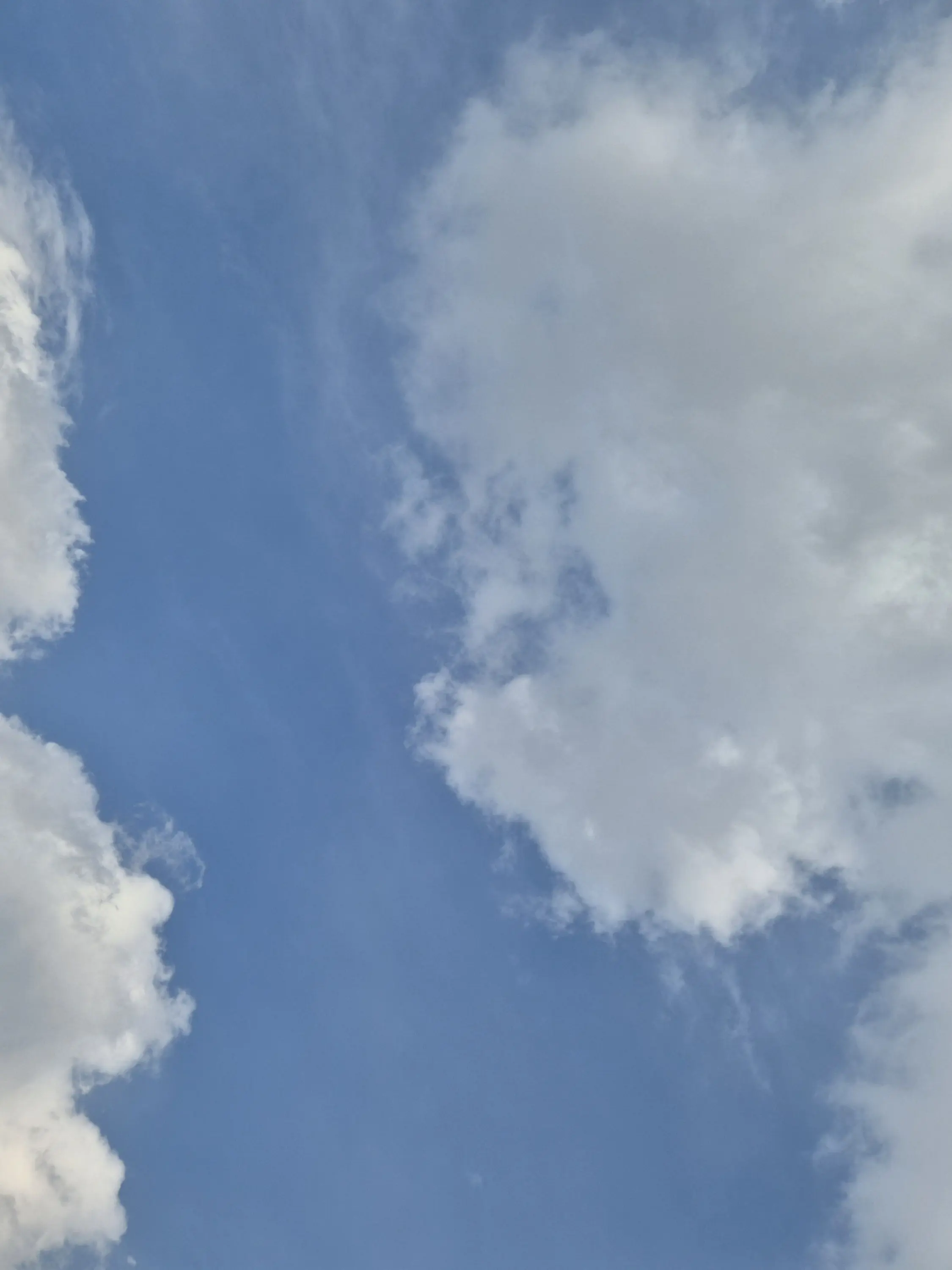 NoisyWolf9978의 비럭키&팀큐브의포옹트롤타워~!