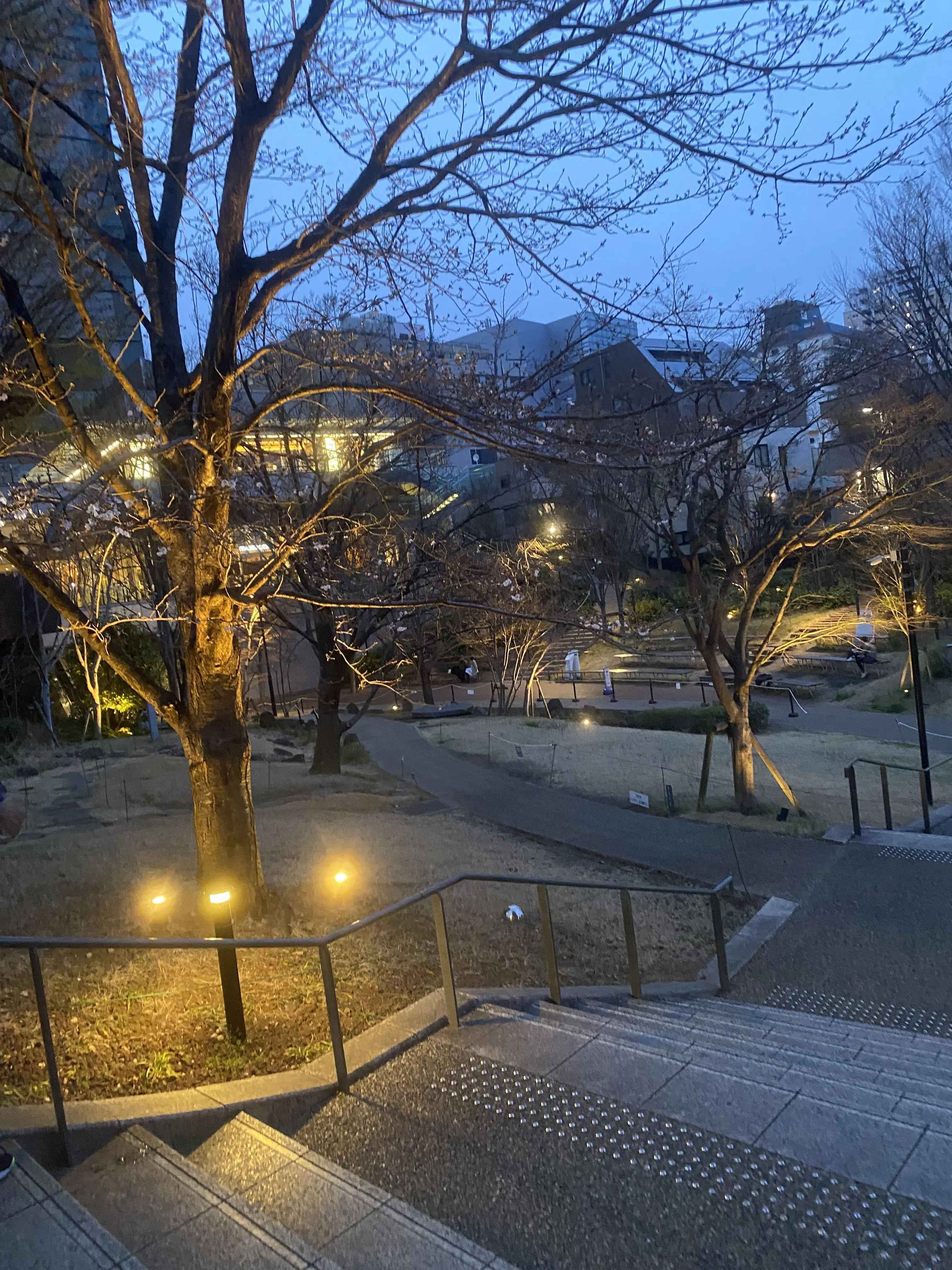 BalmySheep4935의 友達組！