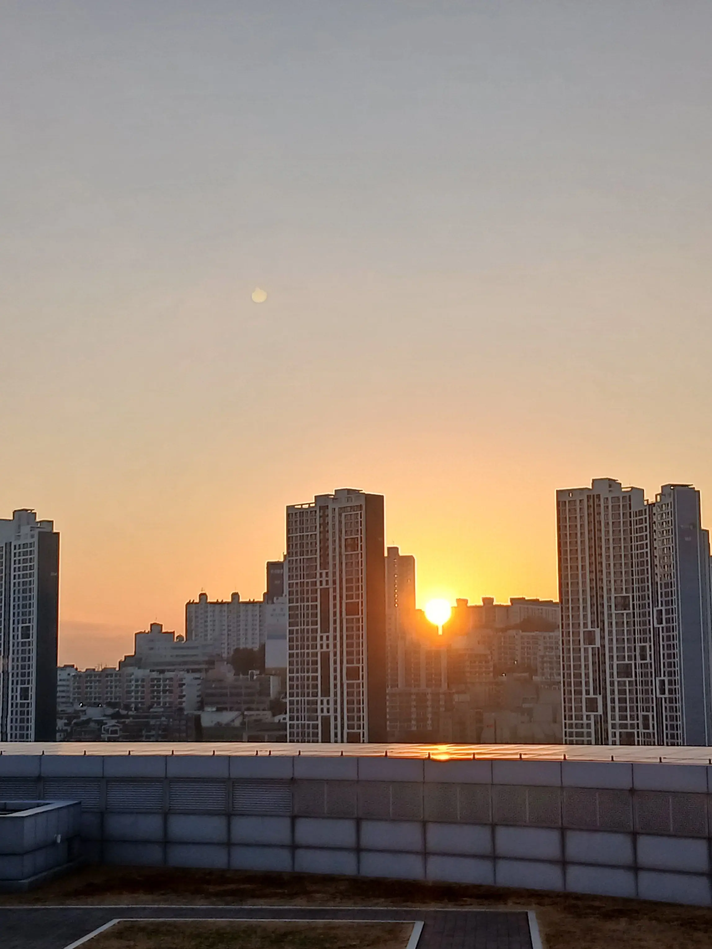 star1201의 유서아