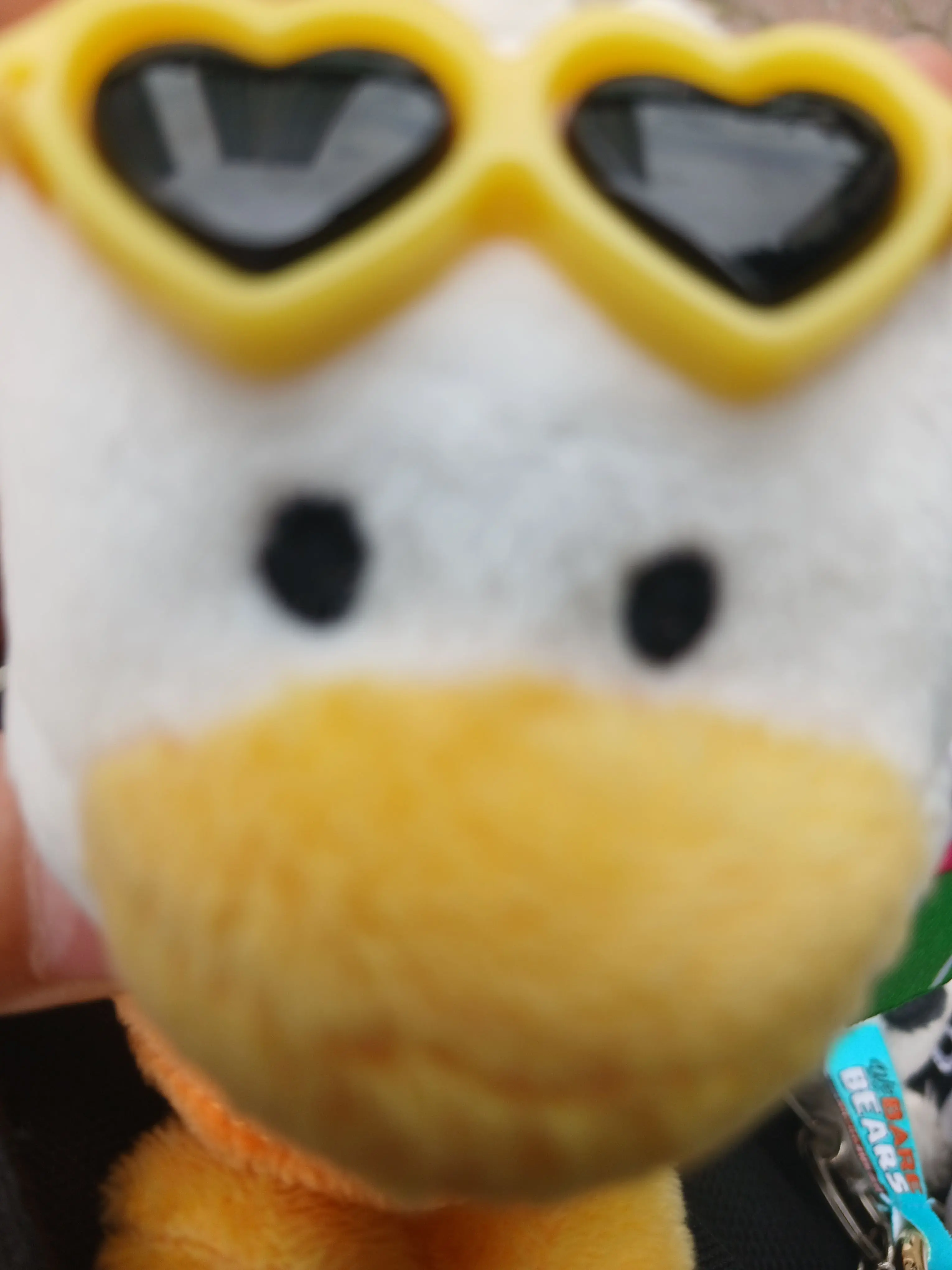 RipeYabby1295의 강아지가....