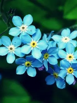 Haming_45의 황수현