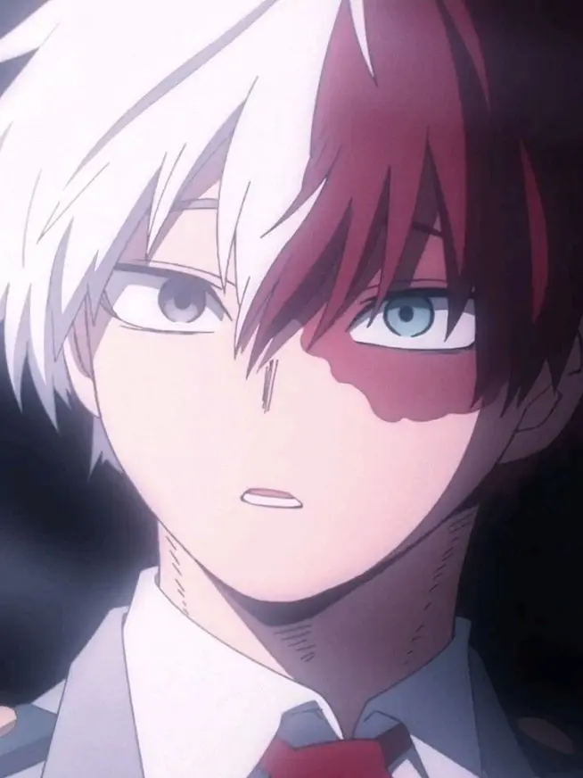 That1Tado의 Shoto Todoroki