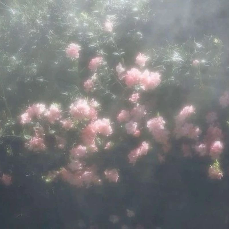 이소희