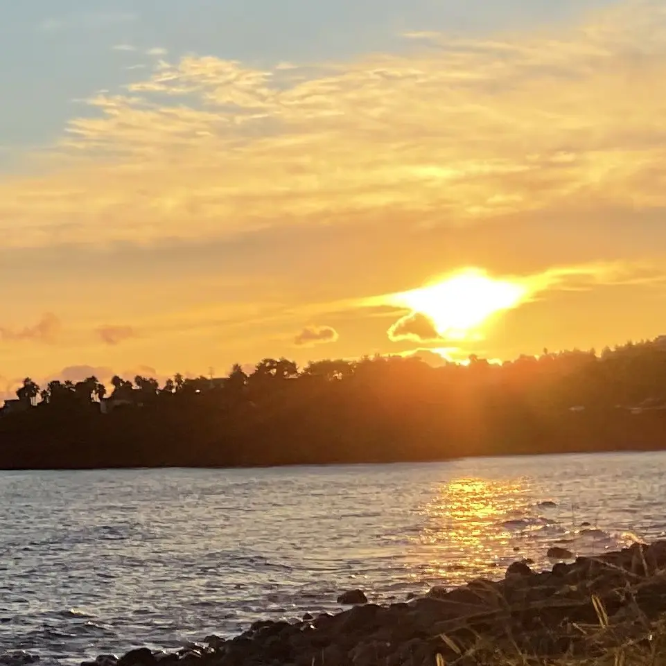 TameDebt0449의 주들과 바다여행🐬🪼🐚