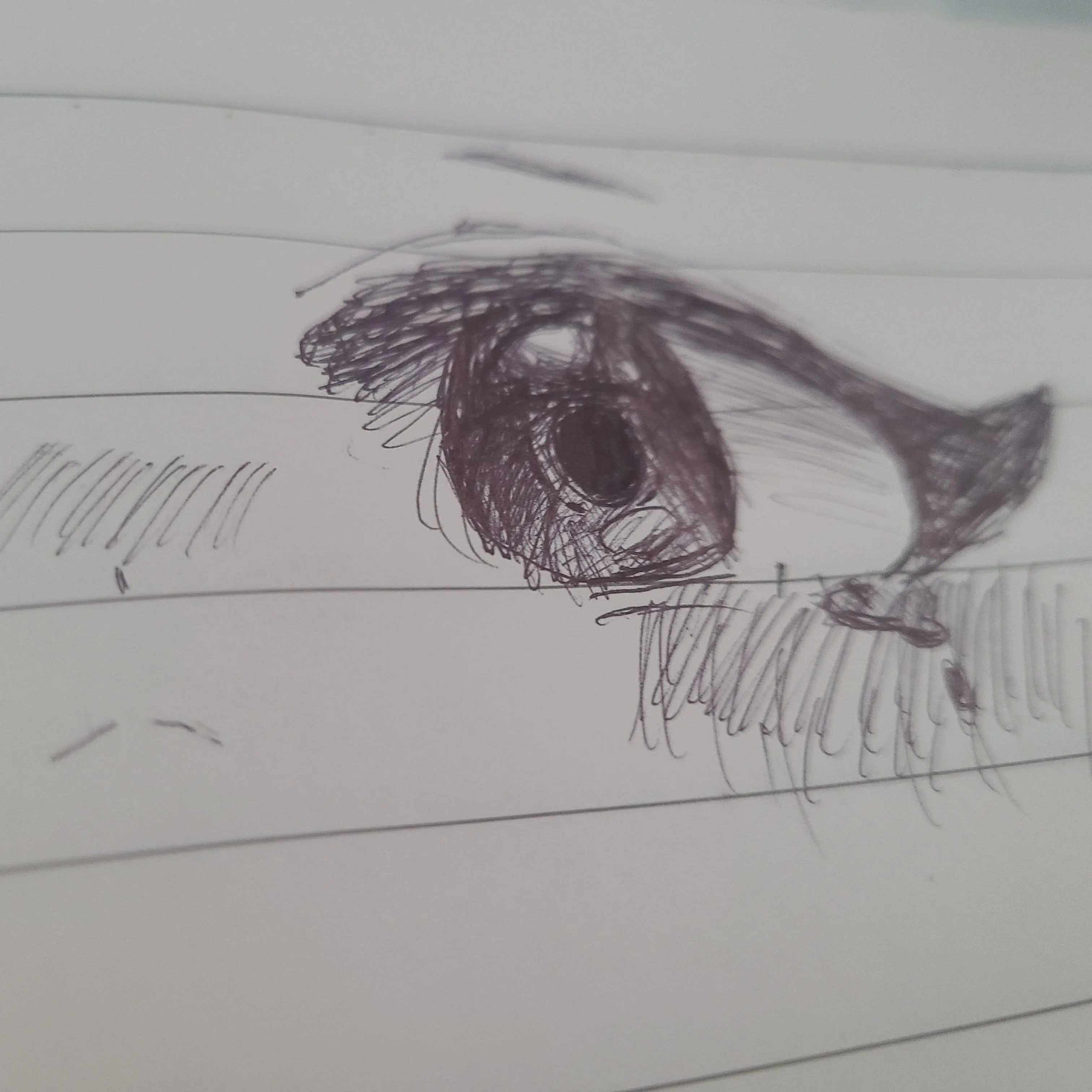 dandy_cookie의 💛🏵메리골드🏵🧡