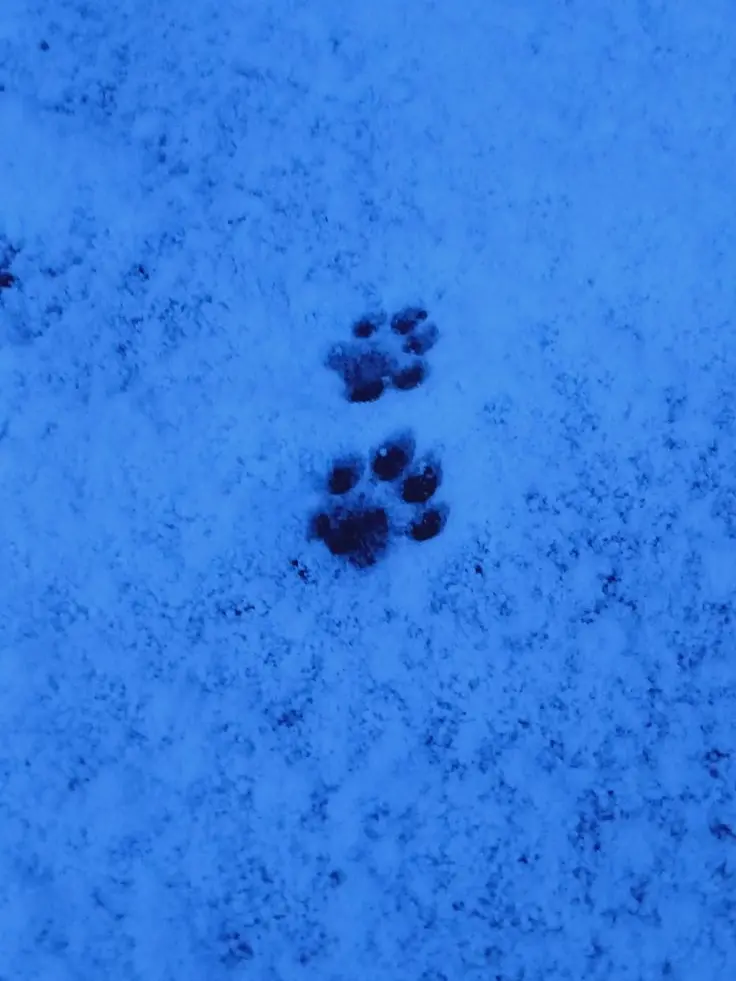 LowCave5280의 あなたにガチ恋つ🅰️