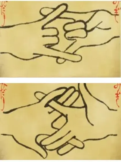N2424242424의 여우창문