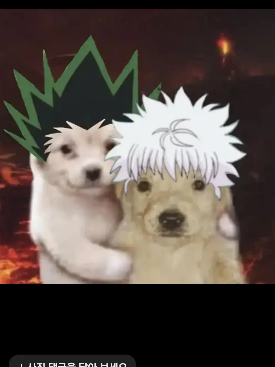 TinyChalk9193의 헌헌 학교생활