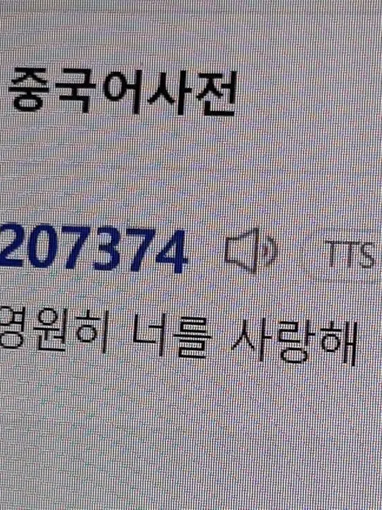 LinearBurp5135의 결혼 할 사이