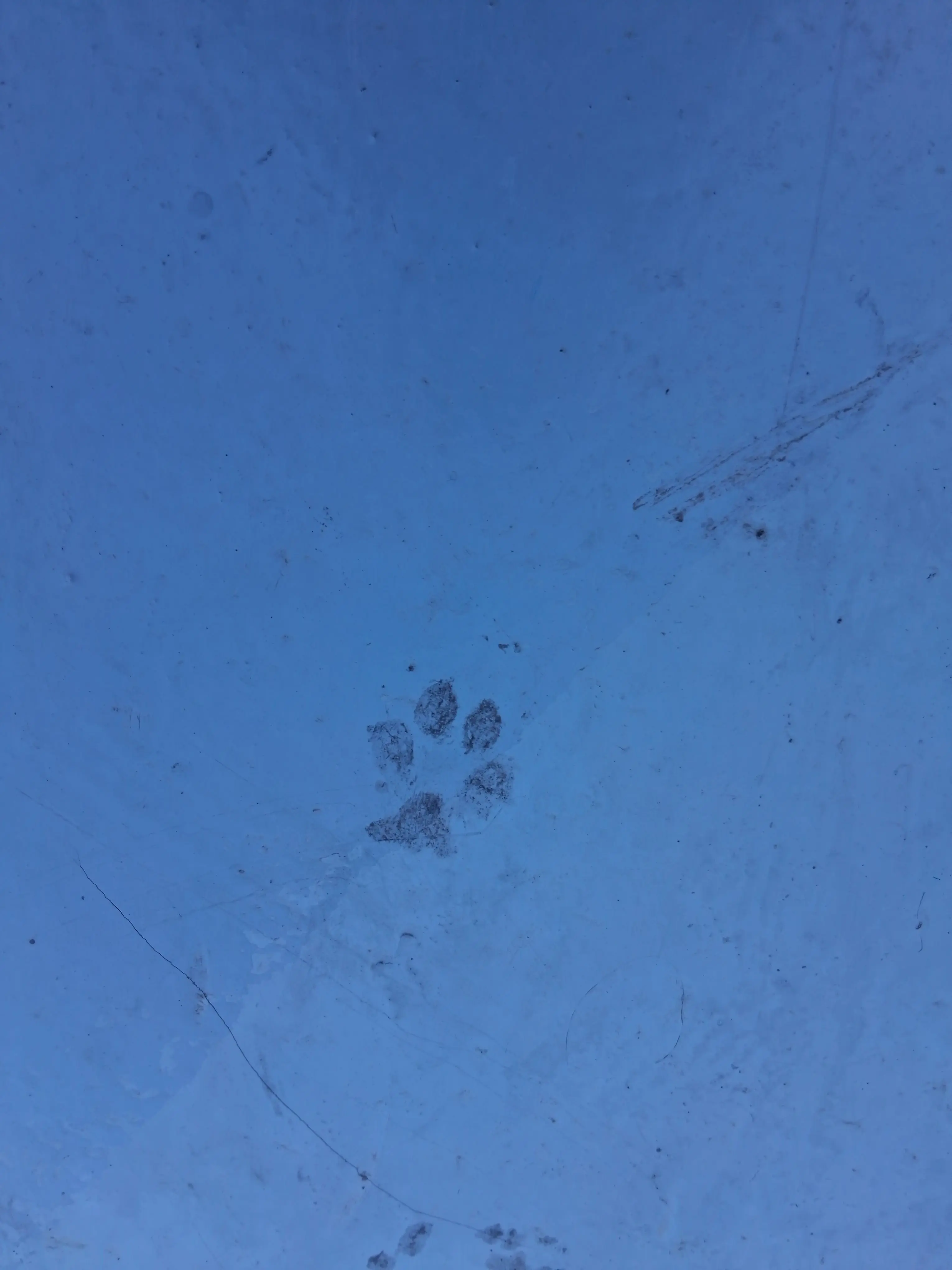 000.1의 યુવૃલુ યુવૃલુ와우핑
