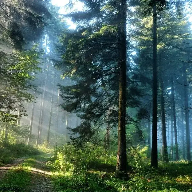 valeu8595의 아카랜드