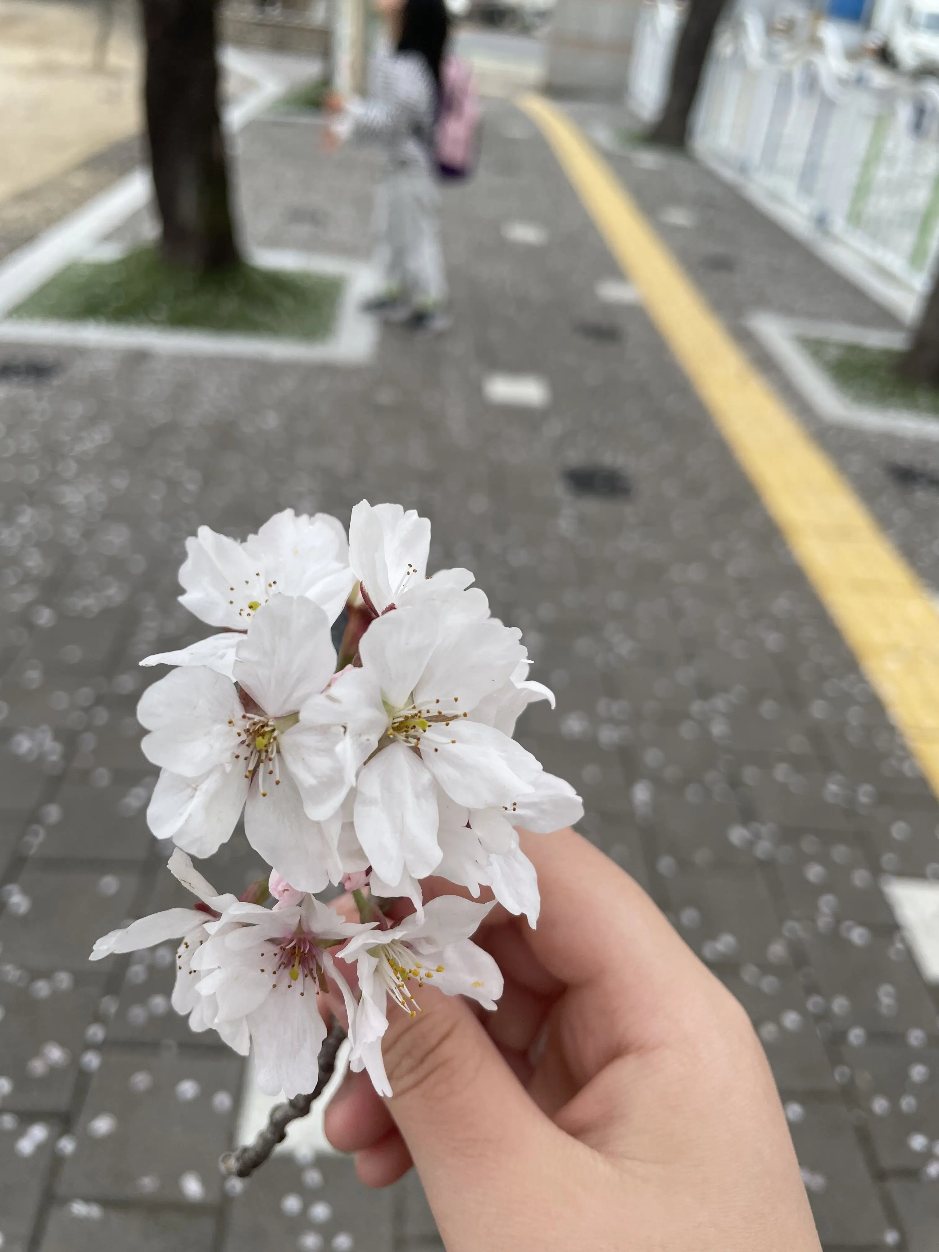 AYDZ52의 뜰팁고등학교 (여우있음)